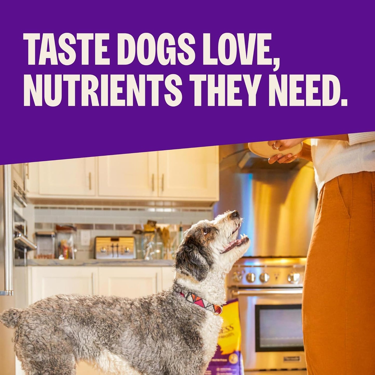 Complete Health Natural Dry Small Breed Dog Food Small Breed Puppy Turkey, Salmon & Oatmeal